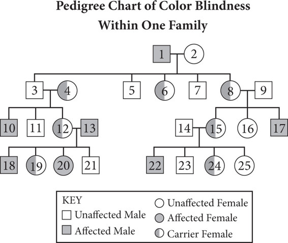 Pedigree Chart For Colour Blindness